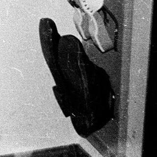 Person carrying large white dog indoors through doorway.