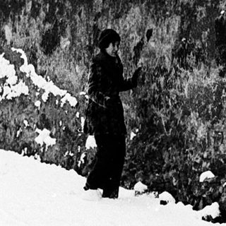 Person feeding pigeons by rocky wall in snowy area.