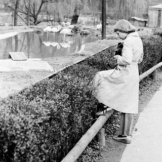 A person sits alone by a pond in a park.
