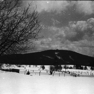 Snow-covered landscape with bare trees and hillside under night sky.