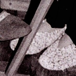 Woman knitting indoors near food and bookshelf.