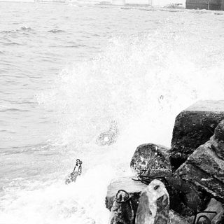 Dog playing in crashing ocean waves near rocks.