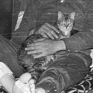 Man holding kitten in makeshift prison bunk.