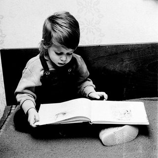 Child engrossed reading a picture book indoors.