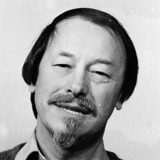 Man with mustache and beard smiling.