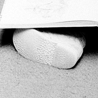 Young child reading book indoors.