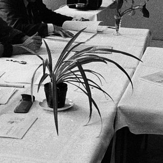 Four people engaged in a formal meeting or discussion.