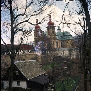 Baroque church domes through winter trees.