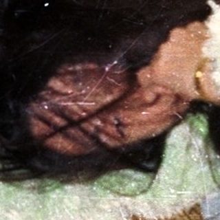 Person sleeping on wooden bench with green blanket.