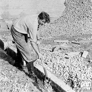 Archaeologist examining ancient stone ruins.