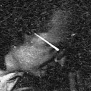 "Two individuals lying on floor amid scattered debris."