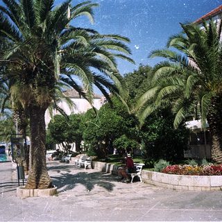 Sunny coastal promenade with palm trees and waterfront buildings.