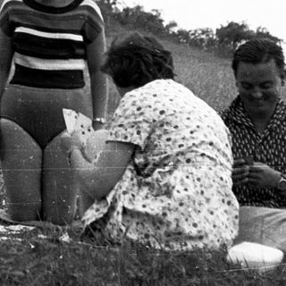 Family picnic in outdoor grassy field.