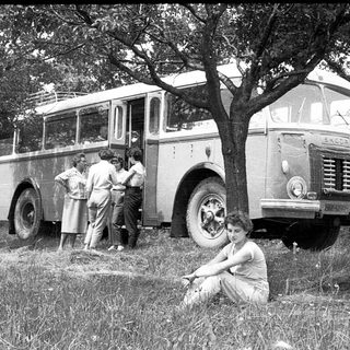 People gather near vintage buses in grassy area.