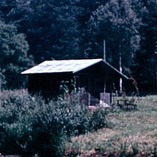 Rural lakeside scene with small cabin and forest.