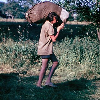 Two individuals carrying heavy loads through rural terrain.