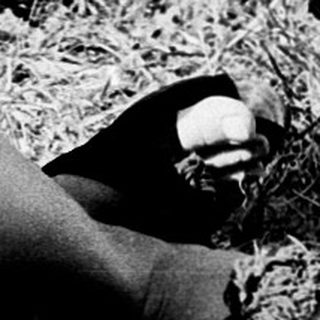 A woman and child sitting outdoors on grass.