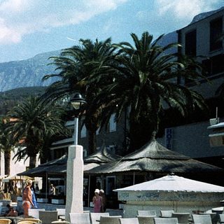 Sunny coastal beachfront with palm trees, seating area, and mountain backdrop.