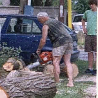 Storm-damaged tree blocking fence and roadside.