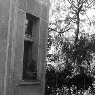 Flooded street with submerged tree and building window.