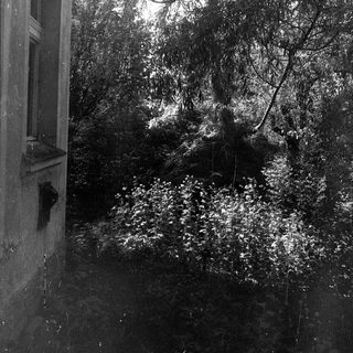 Rain-soaked street view from indoors.
