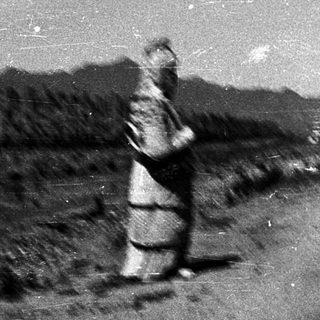 Isolated figure walking on a moonlit road.