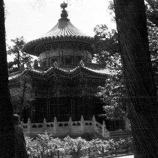 Traditional Asian pagoda surrounded by trees.