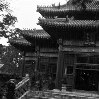 Traditional Asian temple stairs with intricate roof details.
