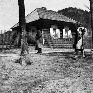 Rural scene with two people near wooden house.