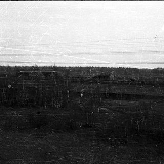 Charred forest landscape after fire.