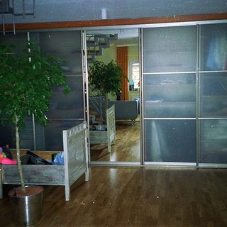 Empty room with glass partitions, child bed, potted plant.