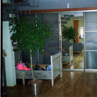 Empty room with glass partitions, child bed, potted plant.