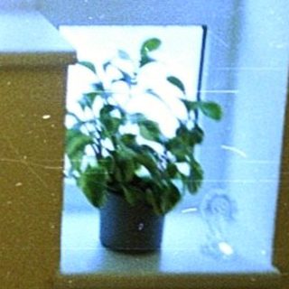 Person sitting on window sill indoors.
