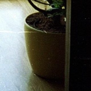 Cozy room with sliding glass doors, potted plants, and a person sitting near window.