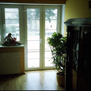 Cozy room with sliding glass doors, potted plants, and a person sitting near window.