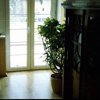 Cozy room with sliding glass doors, potted plants, and a person sitting near window.