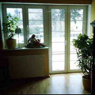Cozy room with sliding glass doors, potted plants, and a person sitting near window.