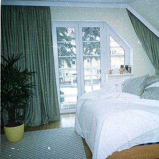 Cozy bedroom with large bed, sliding glass doors, and greenery.