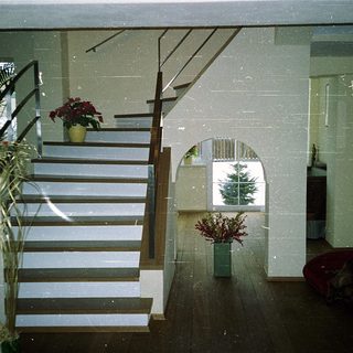 Modern interior with glass-walled staircase and potted plants.