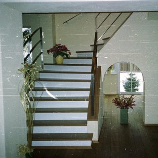 Modern interior with glass-walled staircase and potted plants.