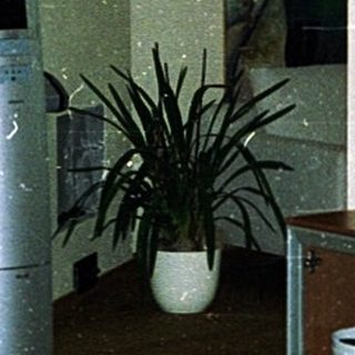 Vintage office or living room with retro furniture.