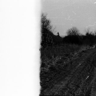 Rural dirt road through plowed field.