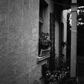 Dark urban window with plants on ledge.