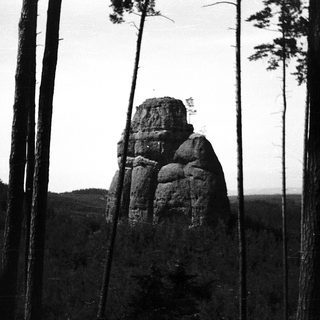 Towering rock formation surrounded by forest.