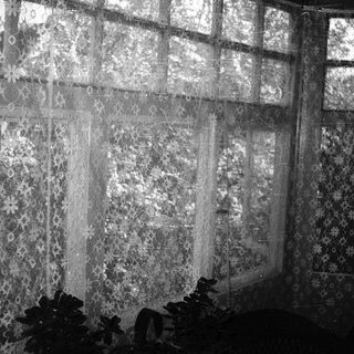 Vintage lace curtains covering old windows.