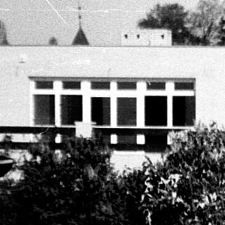 Blurred black-and-white view of blooming trees and building.