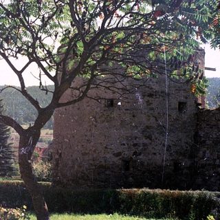 Historic stone wall with tree and modern buildings.