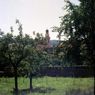Historic tower framed by lush greenery.