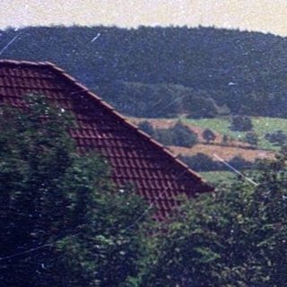 Rural village scene with castle tower.