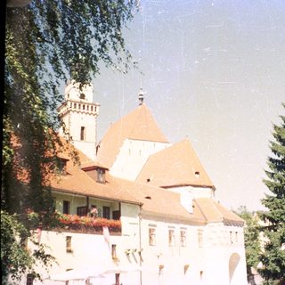Charming castle with domed roof and greenery.